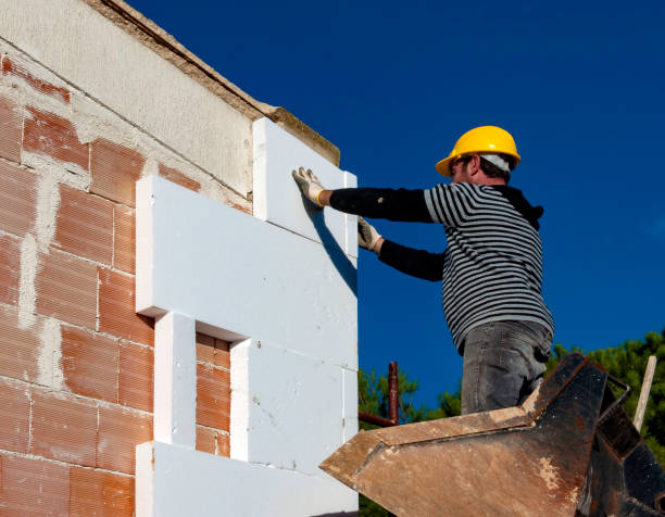 Best Insulation Removal  in Hollandale, MS