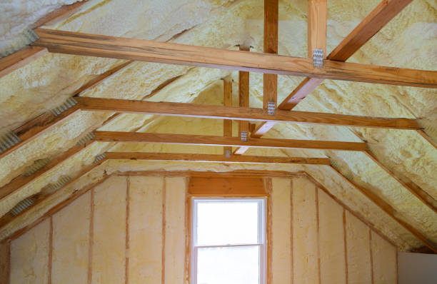 Insulation Replacement Services in Hollandale, MS