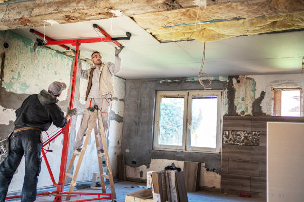 Best Insulation Repair Services  in Hollandale, MS