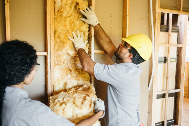 Best Fiberglass Insulation  in Hollandale, MS