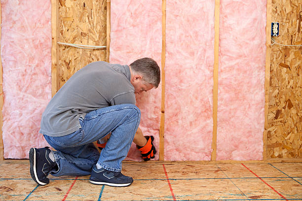 Best Energy-efficient Insulation  in Hollandale, MS