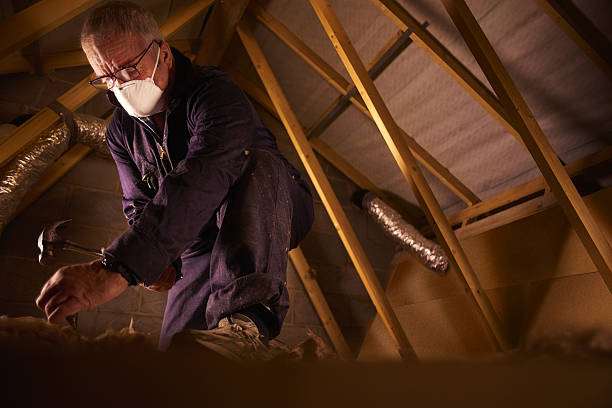 Best Insulation Contractors for Homes  in Hollandale, MS